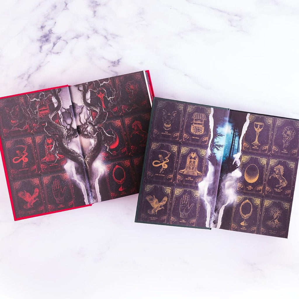The Shepherd King Series By Rachel Gillig: 2 Books Collectors Edition with Sprayed Edges - Fiction - E-B00k