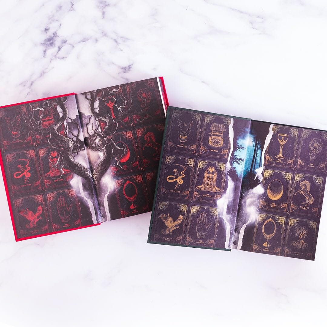 The Shepherd King Series By Rachel Gillig: 2 Books Collectors Edition with Sprayed Edges - Fiction - E-B00k