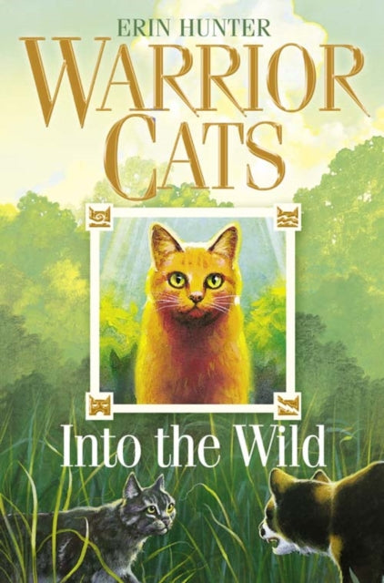 Warrior Cats by Erin Hunter: Series: Into the Wild by Erin Hunter