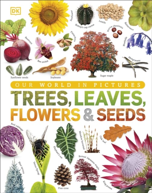 Our World in Pictures: Trees, Leaves, Flowers & Seeds by DK
