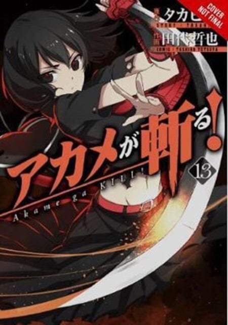 Akame ga Kill!, Vol. 13 by Takahiro