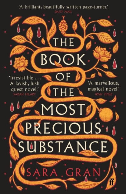 The Book of the Most Precious Substance : Discover this year's most spellbinding quest novel by Sara Gran
