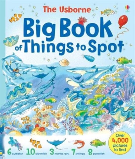 Big Book of Things to Spot by Fiona Watt