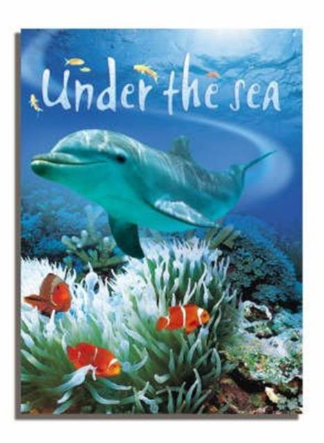 Caterpillars And Butterflies