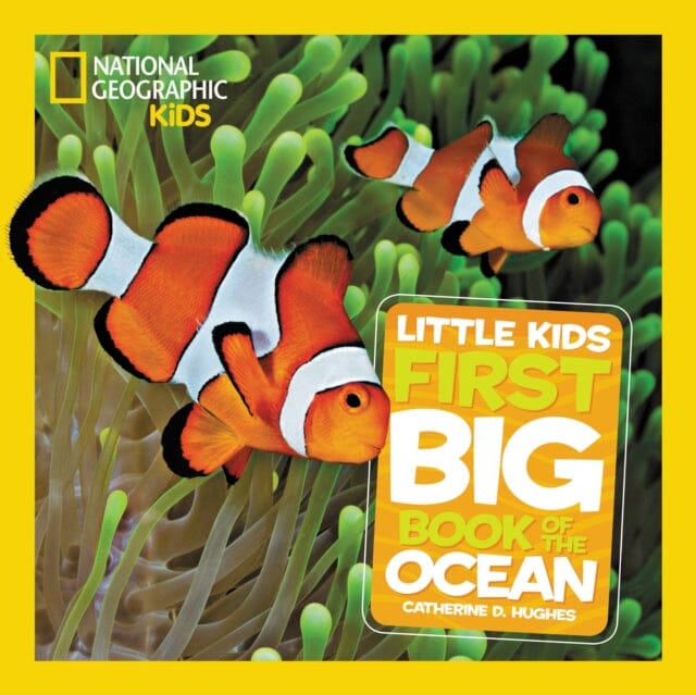 Little Kids First Big Book of The Ocean by Catherine D. Hughes