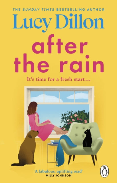 After the Rain by Lucy Dillon