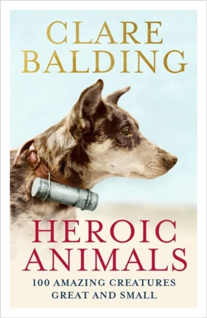 Heroic Animals: Amazing Creatures that Changed Our World by Clare Balding