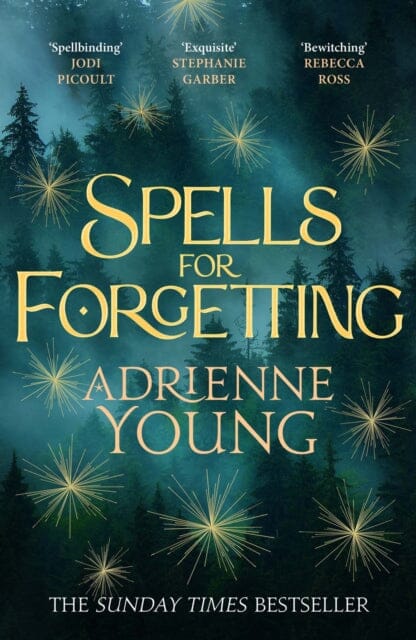 Spells for Forgetting : the spellbinding magical mystery, perfect for winter nights by Adrienne Young