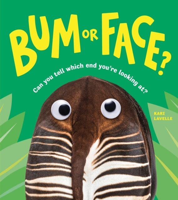 Bum or Face by Kari Lavelle