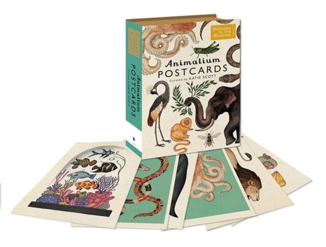 Animalium Postcards by Katie Scott