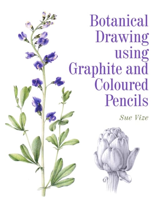 Botanical Drawing using Graphite and Coloured Pencils by Sue Vize