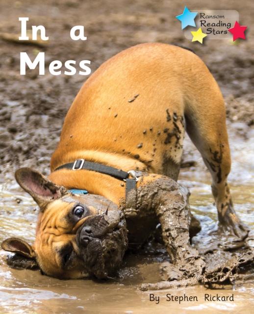 In a Mess : Phonics Phase 2