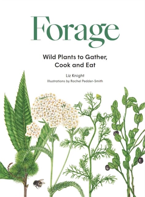 Forage: Wild plants to gather and eat by Liz Knight