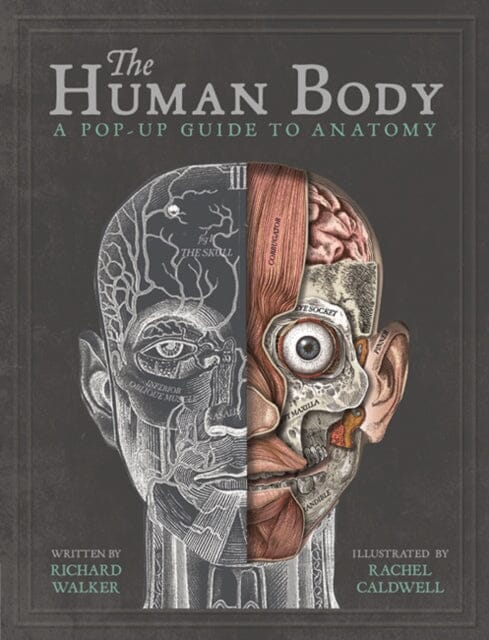 The Human Body: A Pop-Up Guide to Anatomy by Richard Walker