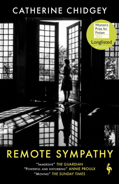 Remote Sympathy by Catherine Chidgey