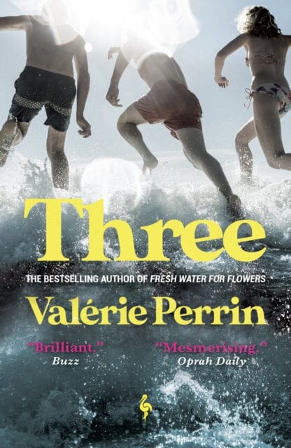 Three : From the bestselling author of Fresh Water for Flowers by Valerie Perrin