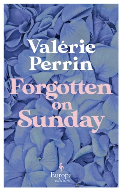 Forgotten on Sunday : From the million copy bestselling author of Fresh Water for Flowers by Valerie Perrin