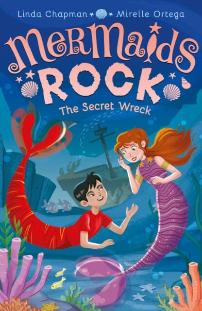The Secret Wreck by Linda Chapman