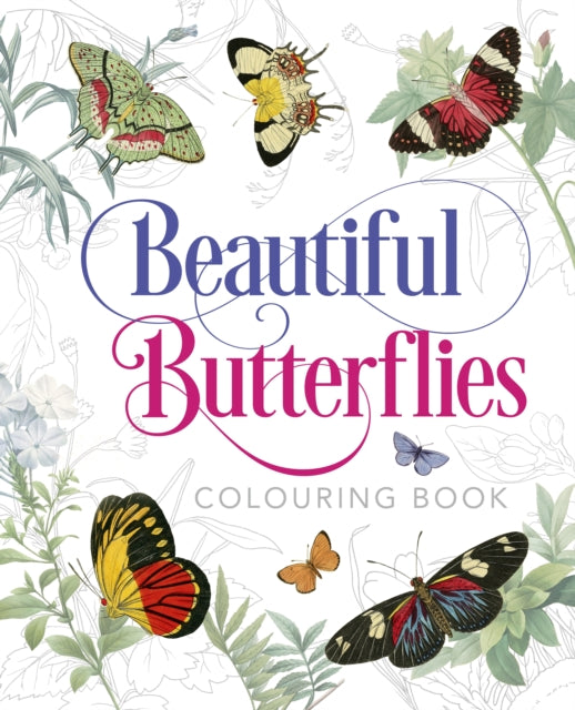 Beautiful Butterflies Colouring Book by Peter Gray