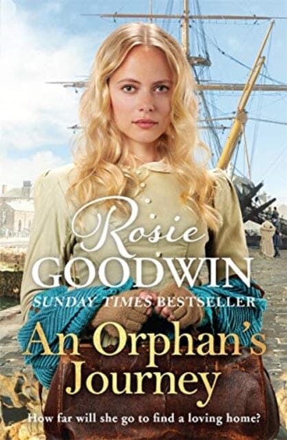 An Orphan's Journey  by Rosie Goodwin