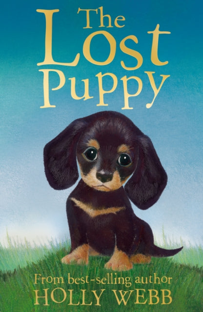 The Lost Puppy by Holly Webb