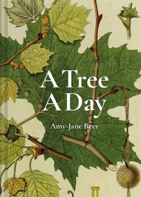 A Tree A Day by Amy-Jane Beer