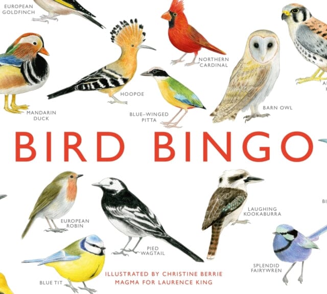 Bird Bingo by Christine Berrie