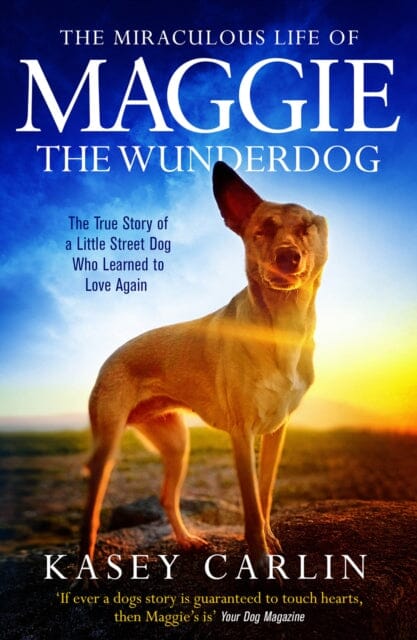 The Miraculous Life of Maggie the Wunderdog: The true story of a little street dog who learned to love again by Kasey Carlin