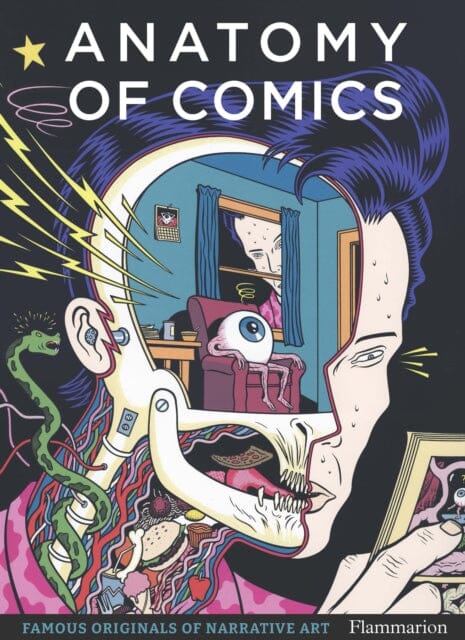 Anatomy of Comics : Famous Originals of Narrative Art by Damien MacDonald