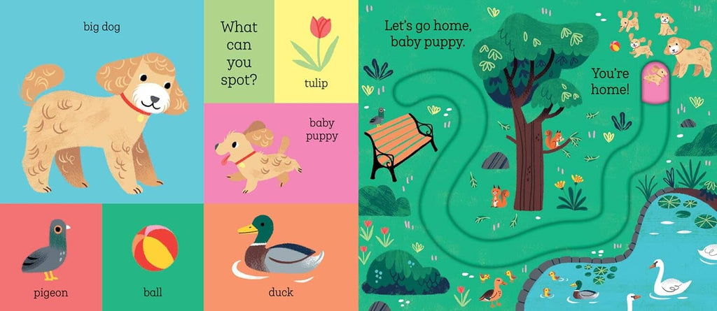 Let's Go Home Series by Carolina Buzio 5 Books Collection Set - Ages 2-5 - Board Book