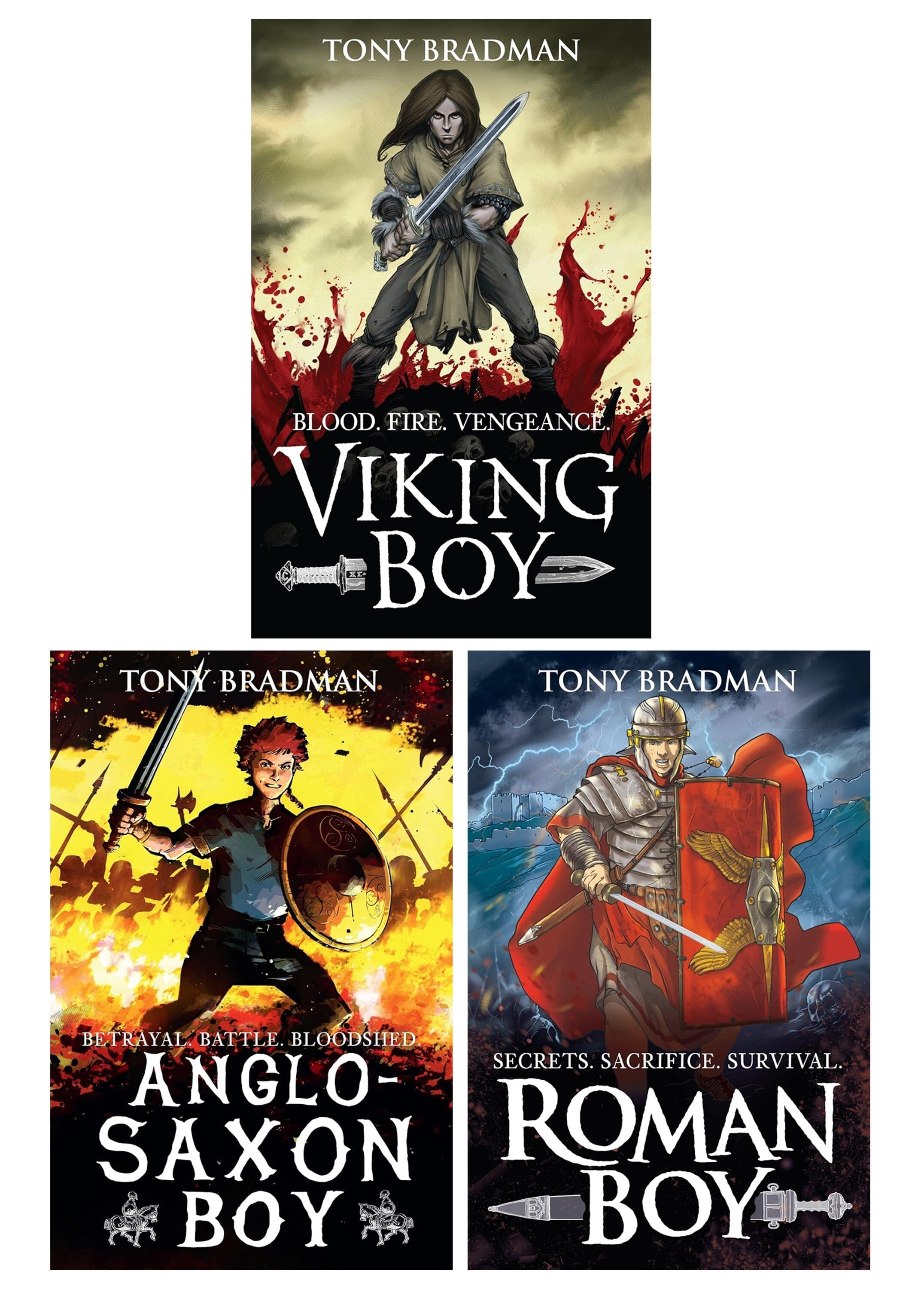 Viking Boy Series by Tony Bradman Illustrated 3 Books Collection Set - Ages 9-12 - E-B00k