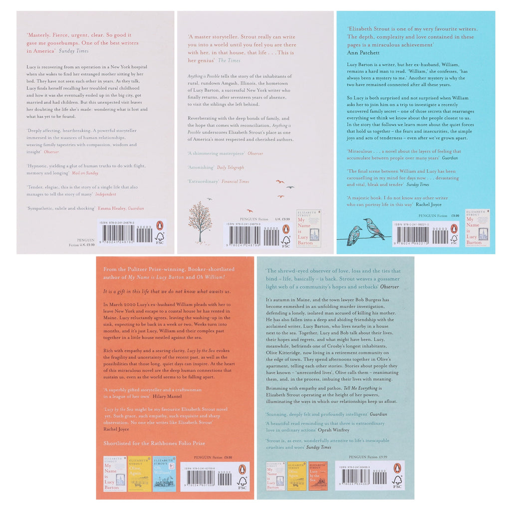 Amgash Series by Elizabeth Strout 5 Books Collection Set - Fiction - E-B00k