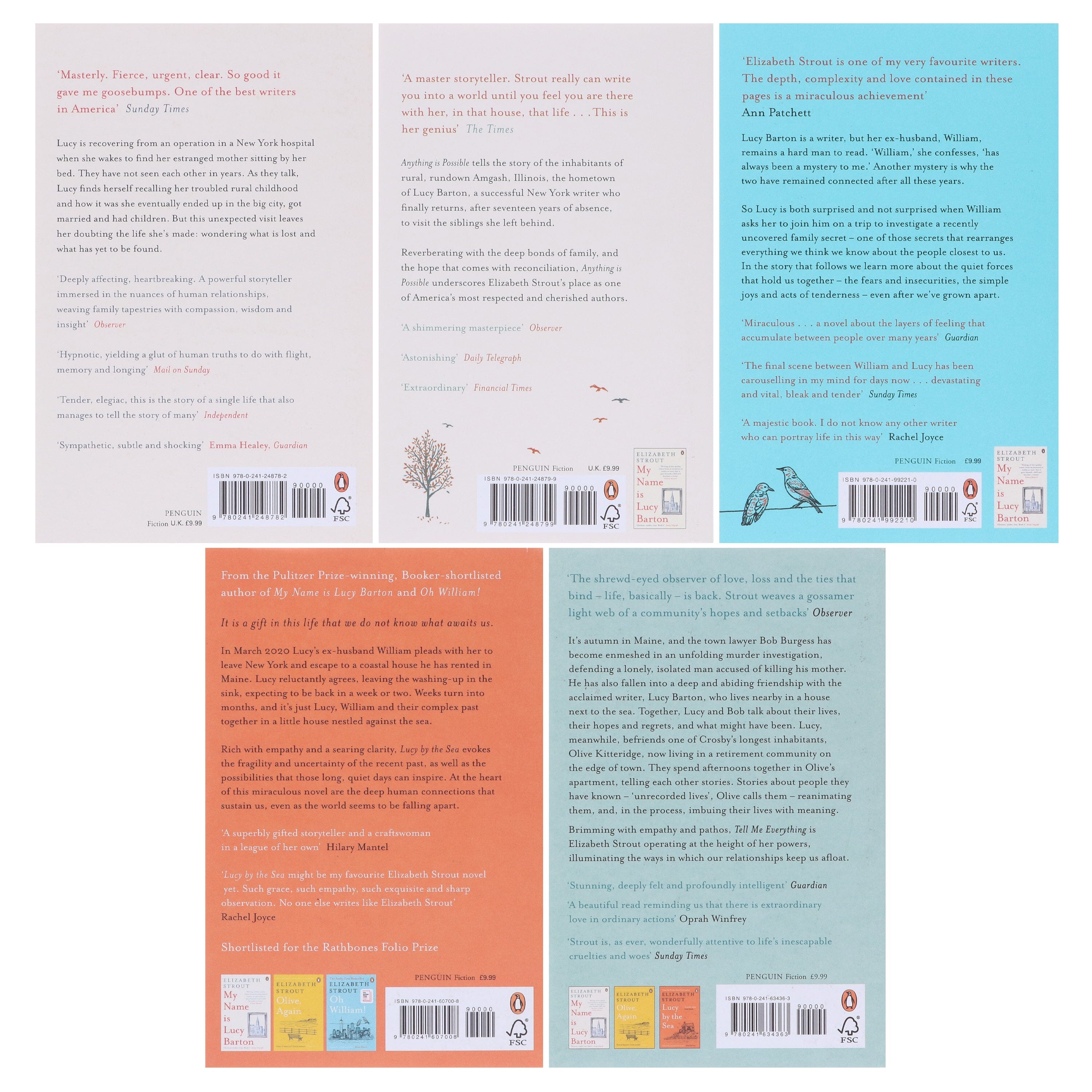 Amgash Series by Elizabeth Strout 5 Books Collection Set - Fiction - E-B00k