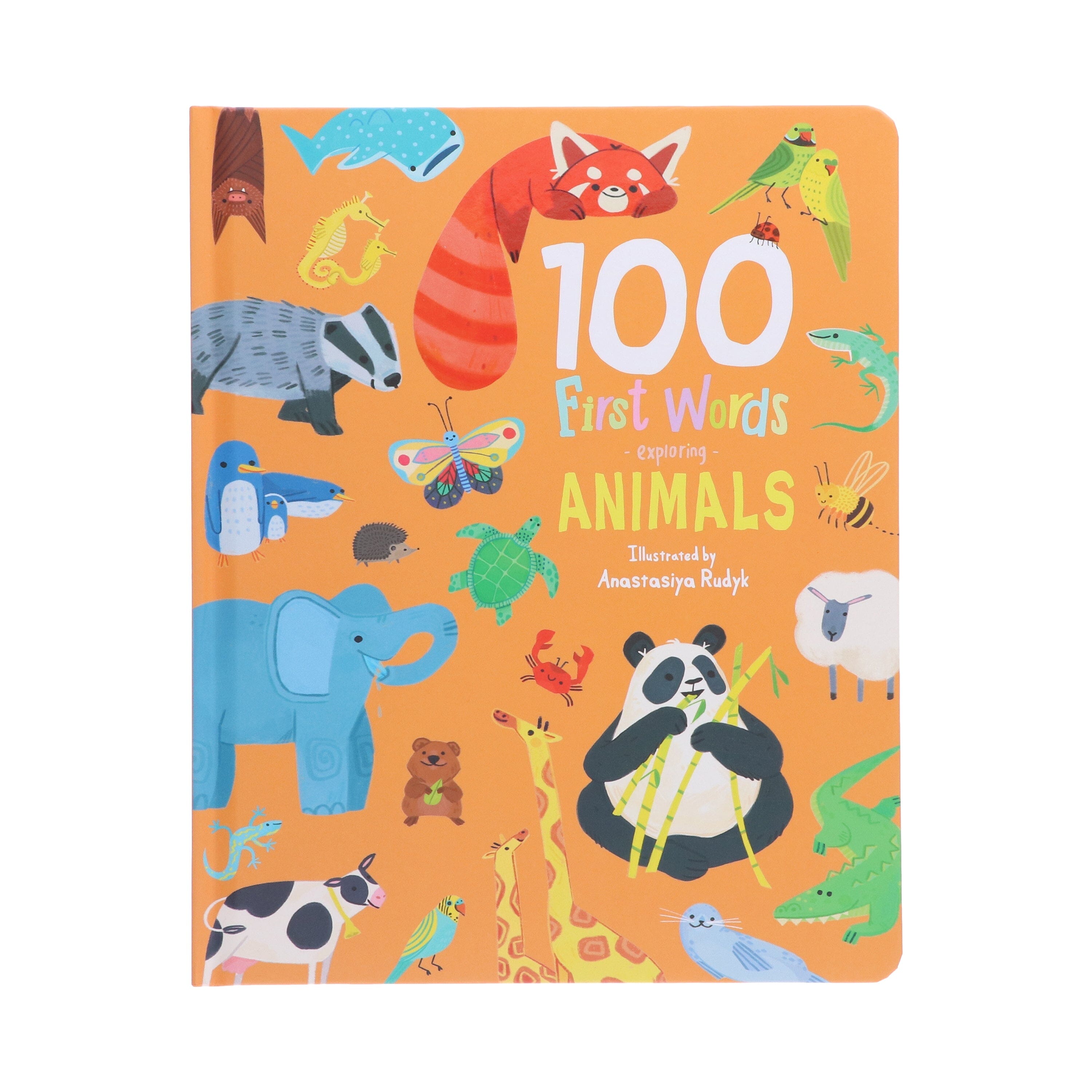 100 First Facts: Words, Animals & Planet 3 Picture books Children's collection set By Sweet Cherry Publishing - Ages 3-5 - Board Book