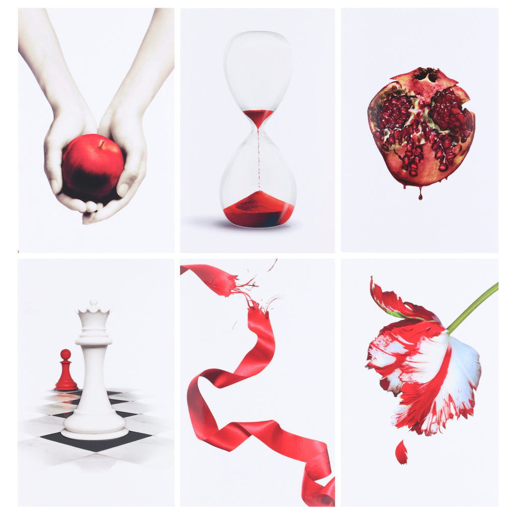 Damaged - The Twilight Saga By Stephenie Meyer: 6 Books Collection Set - Ages 13+ - E-B00k - T 41