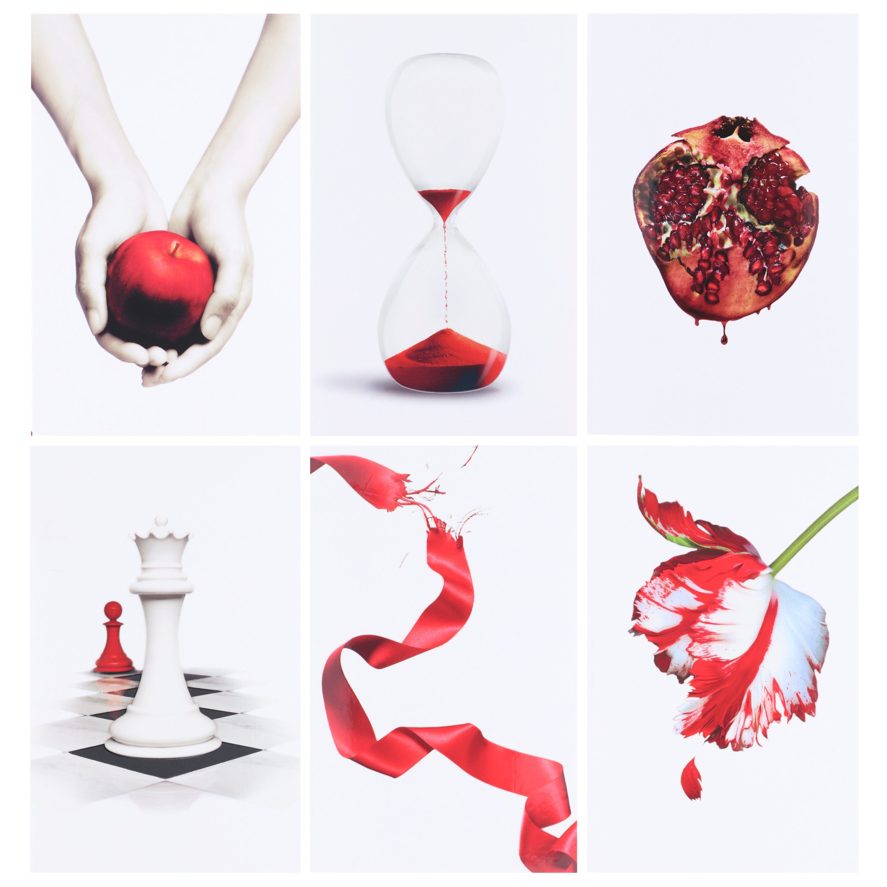 Damaged - The Twilight Saga By Stephenie Meyer: 6 Books Collection Set - Ages 13+ - E-B00k - T 41