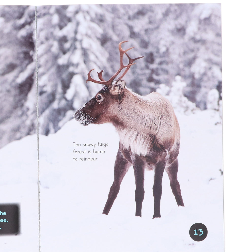 Introduction to Nature and Geography by Jasmine Brooke 20 Book Collection E-Books Set - Ages 7+ - E-B00k