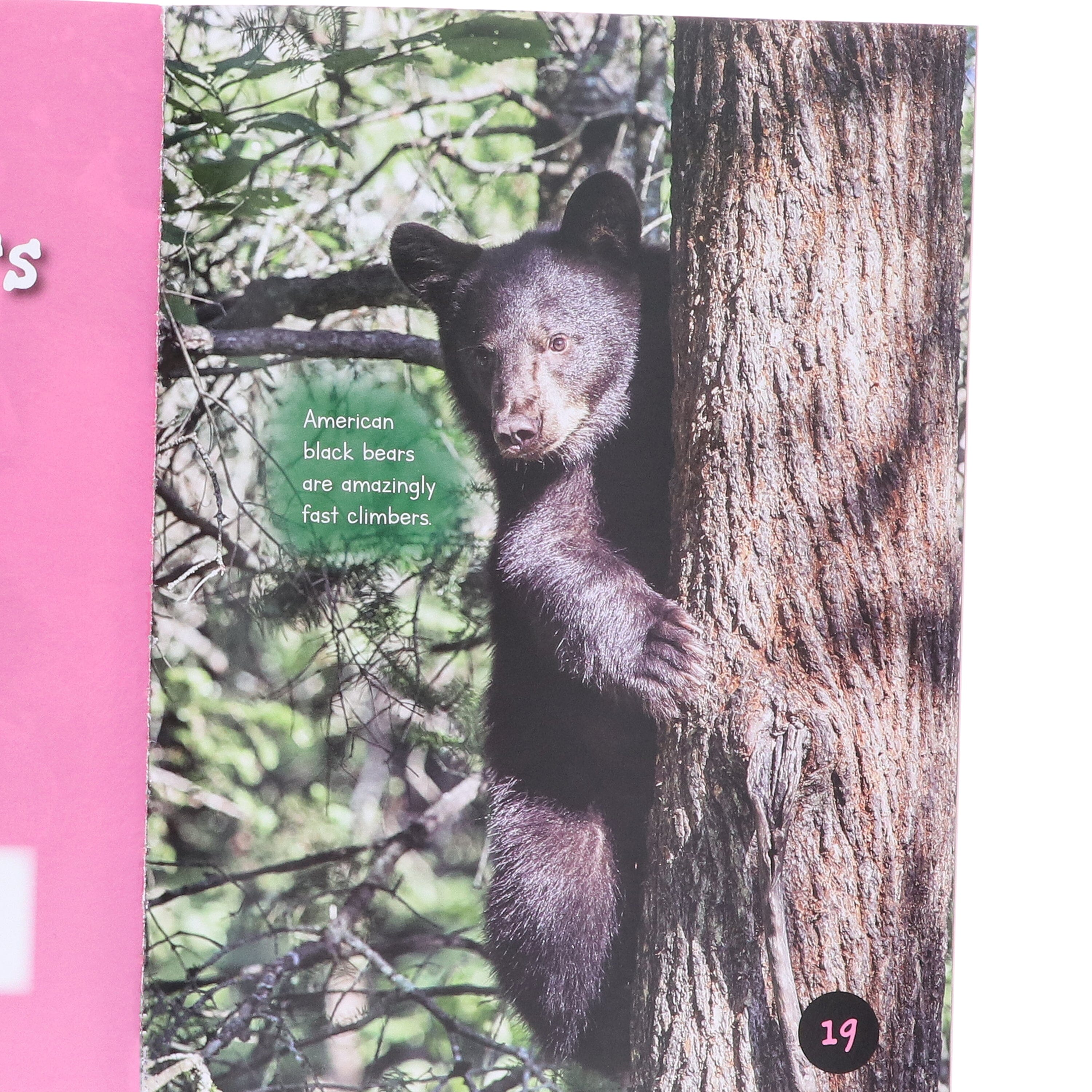 Introduction to Nature and Geography by Jasmine Brooke 20 Book Collection E-Books Set - Ages 7+ - E-B00k