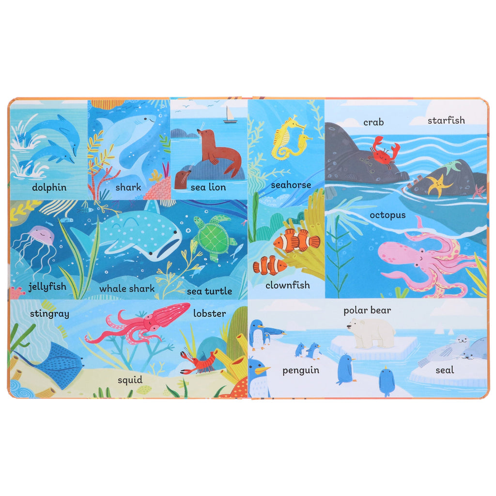 100 First Facts: Words, Animals & Planet 3 Picture books Children's collection set By Sweet Cherry Publishing - Ages 3-5 - Board Book