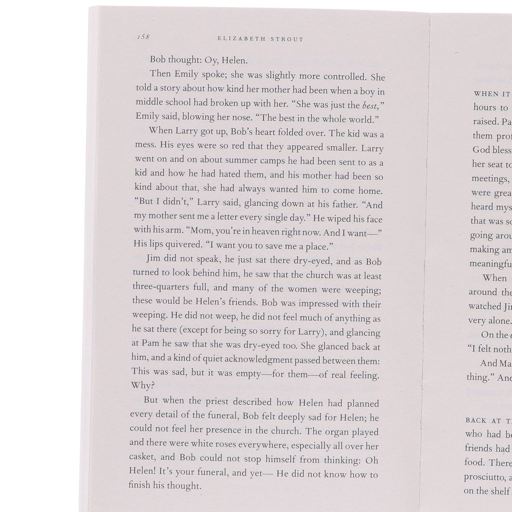 Amgash Series by Elizabeth Strout 5 Books Collection Set - Fiction - E-B00k