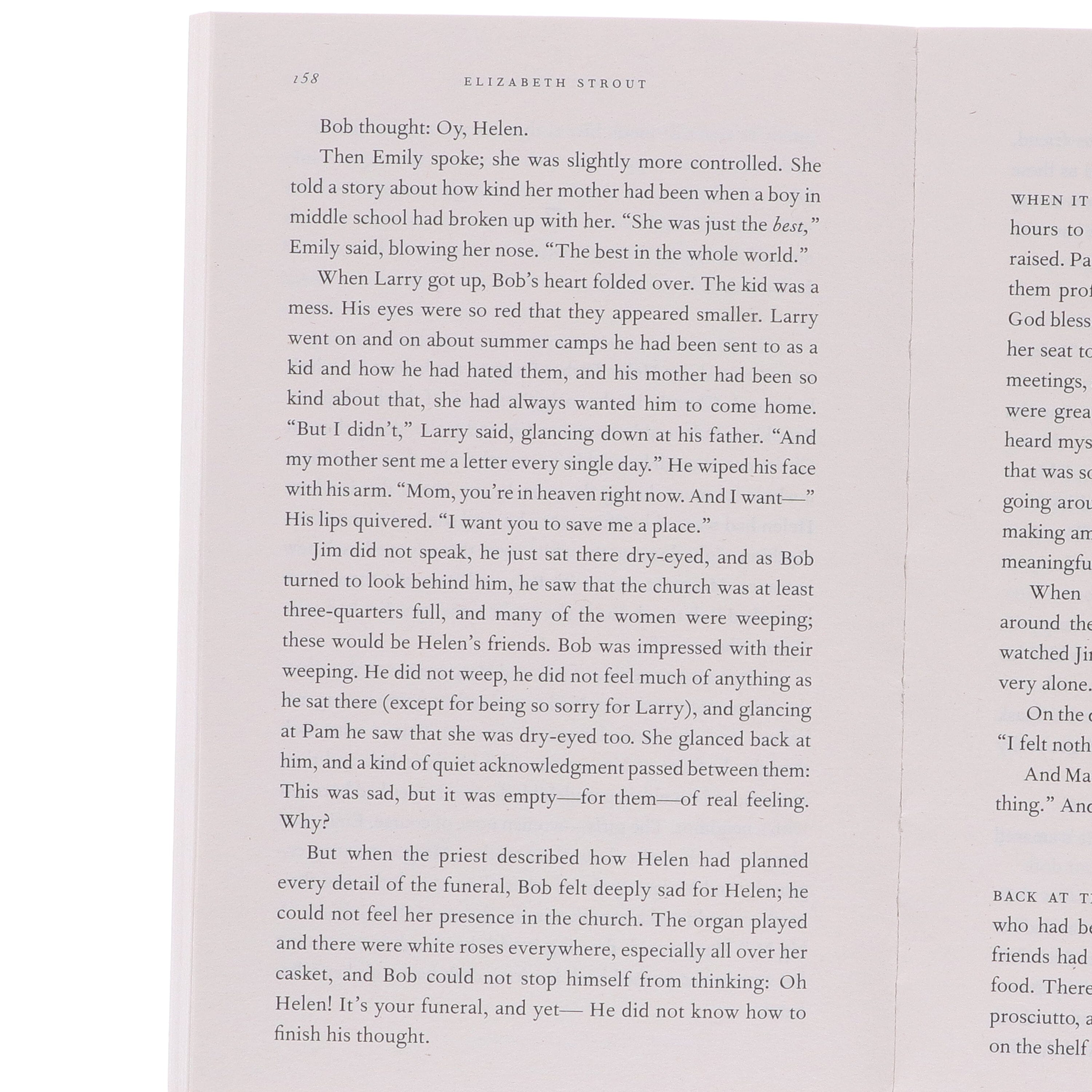 Amgash Series by Elizabeth Strout 5 Books Collection Set - Fiction - E-B00k