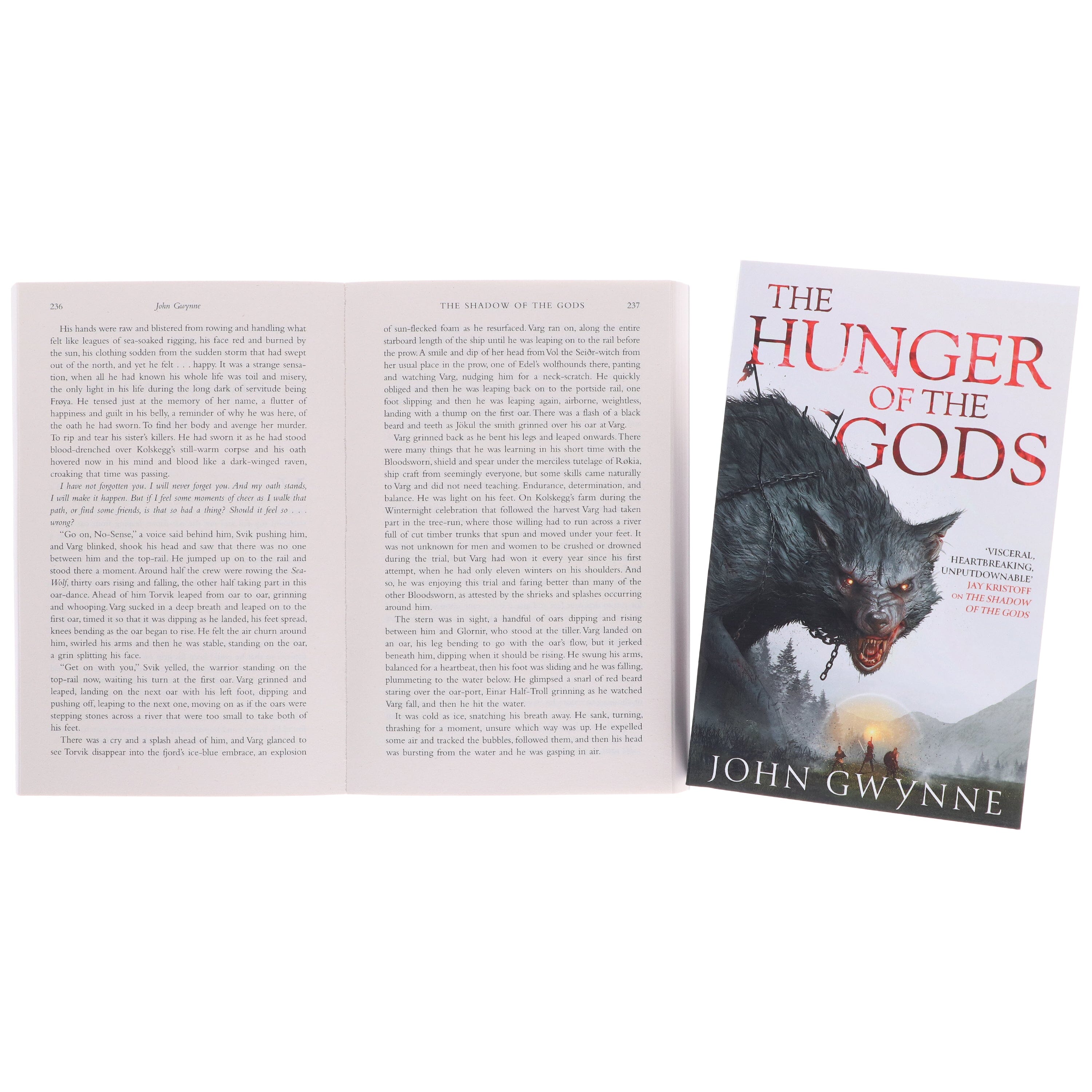 Bloodsworn Series by John Gwynne 2 Books Collection Set - Fiction - E-B00k