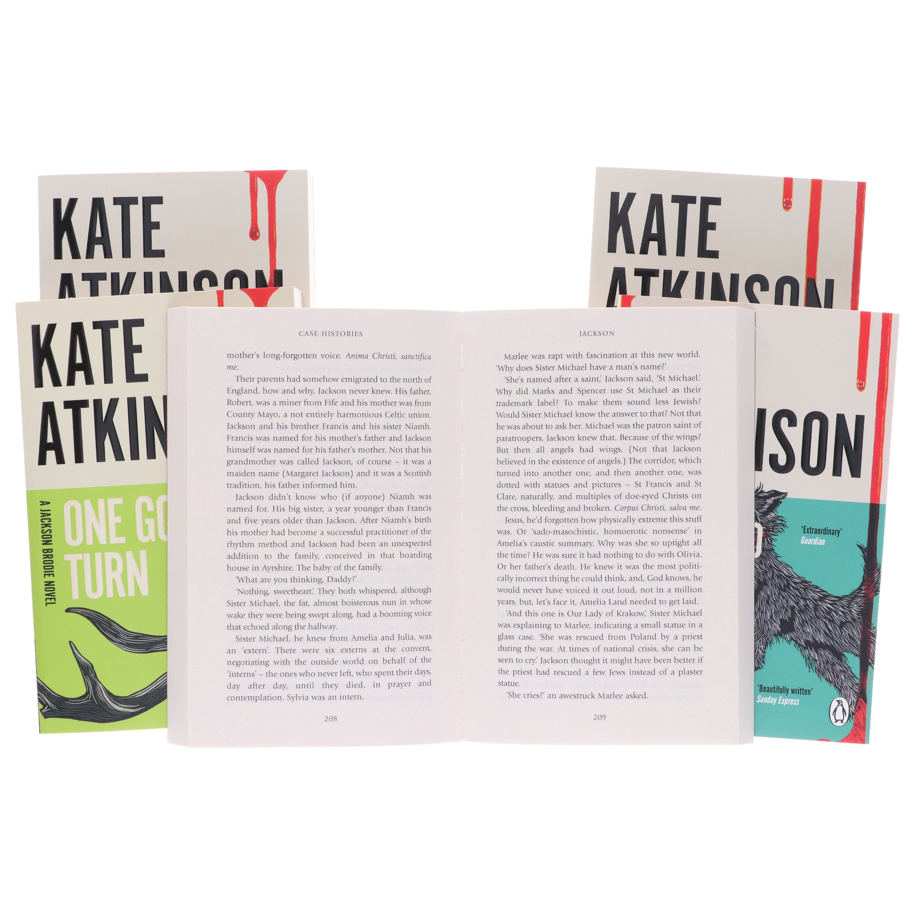 Jackson Brodie Series by Kate Atkinson 5 Books Collection Set - Fiction - E-B00k