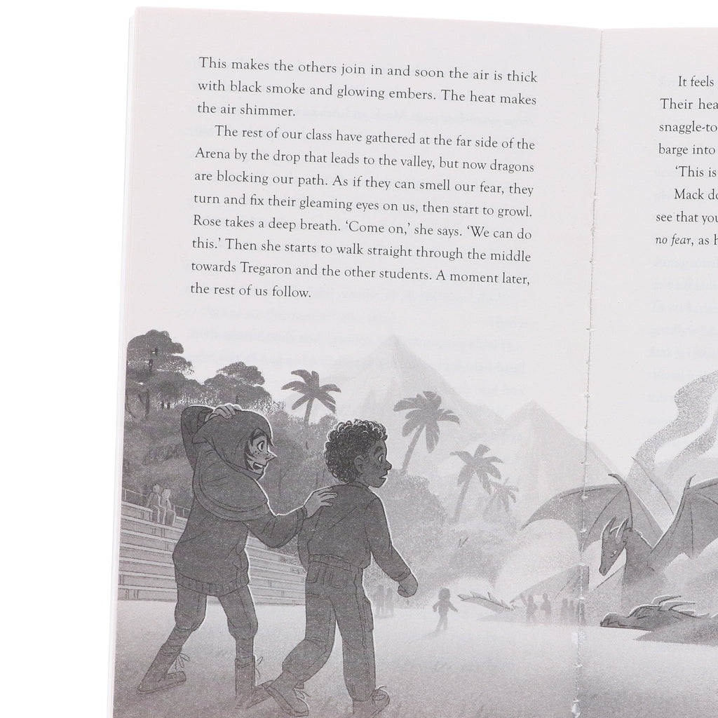 The Land of Roar Series by Jenny McLachlan Illustrated 4 Books Collection Set - Ages 9-14 - E-B00k