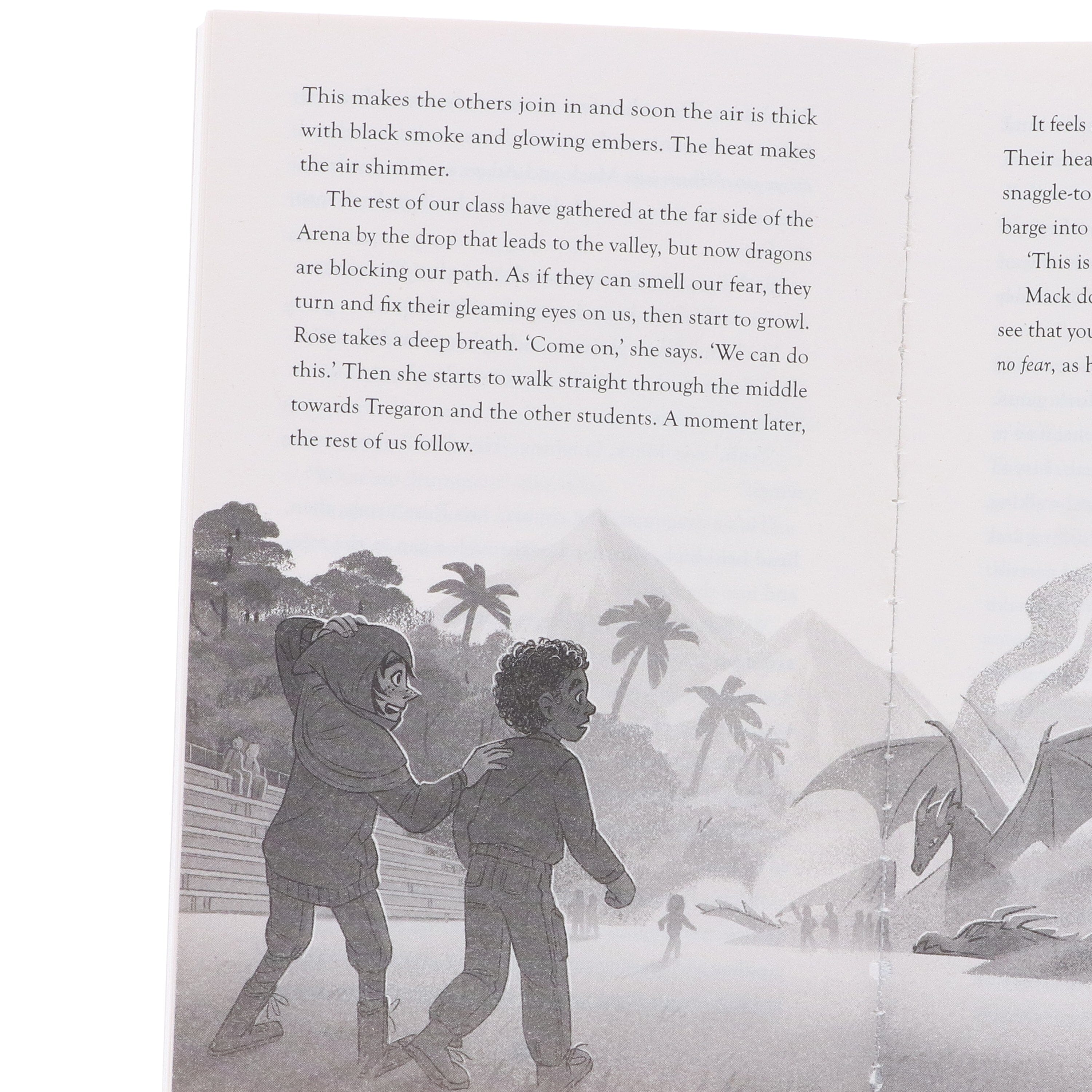 The Land of Roar Series by Jenny McLachlan Illustrated 4 Books Collection Set - Ages 9-14 - E-B00k