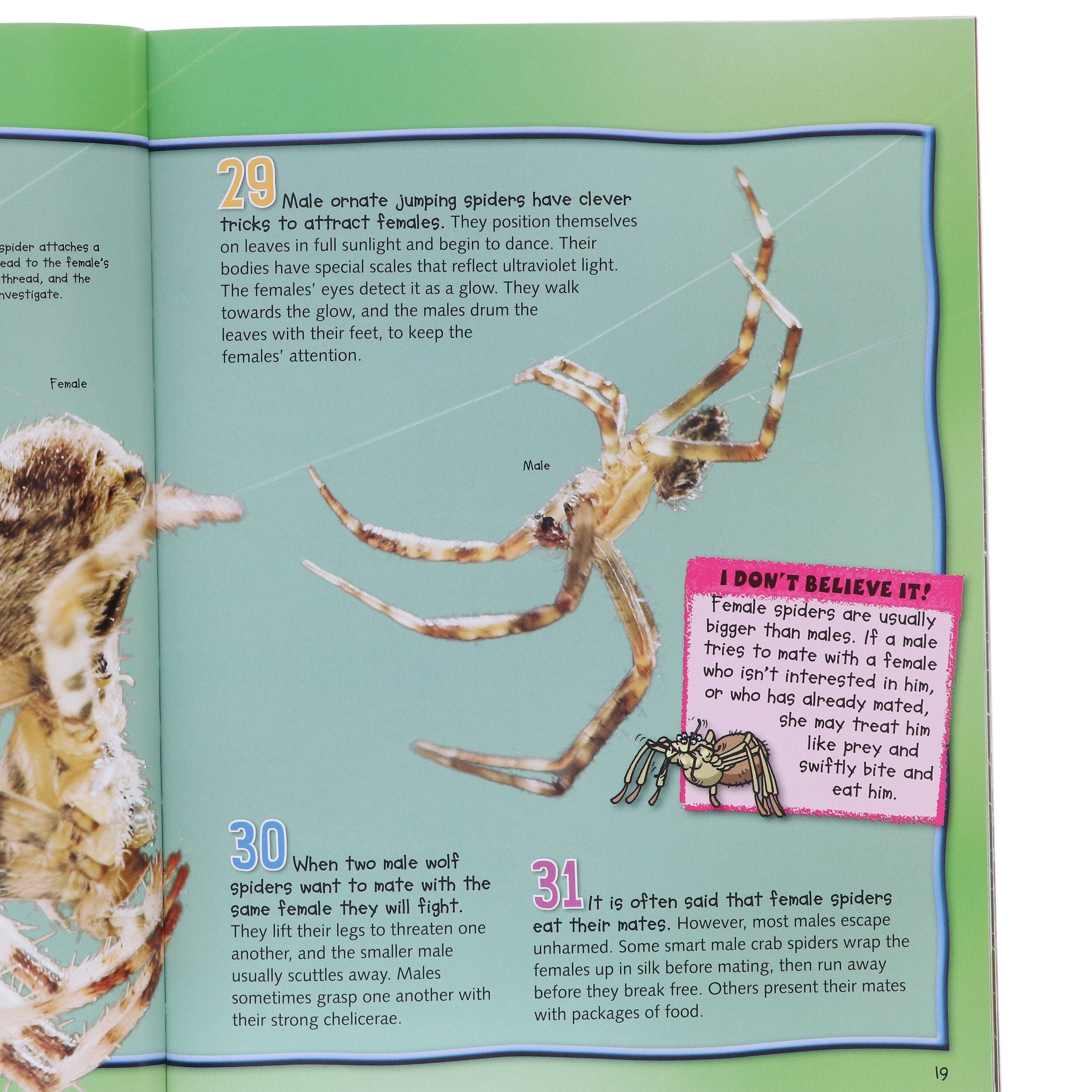 100 Facts Series by Steve Parker & Others 10 Books Collection Set - Ages 7+ - E-B00k