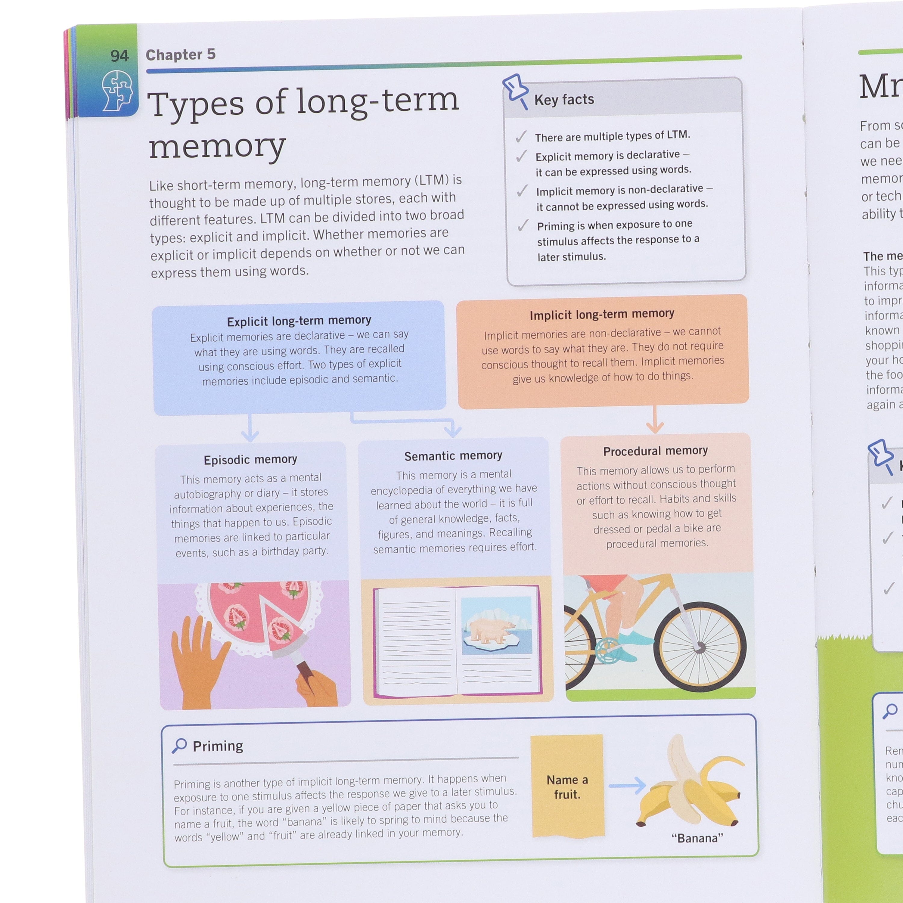 Super Simple Psychology: The Ultimate Bitesize Study Guide For A Level - Non Fiction - E-B00k