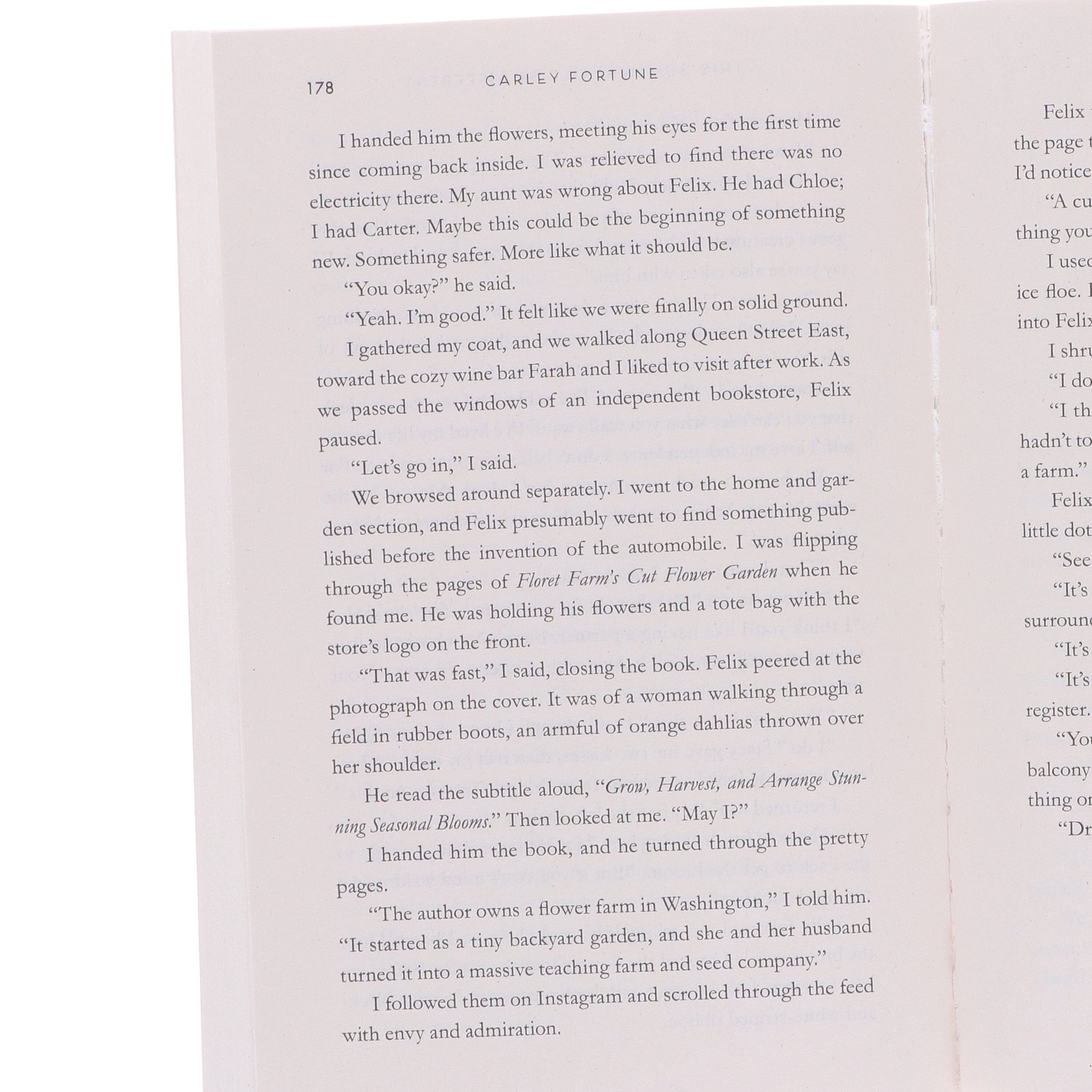 Carley Fortune Novels Collection 4 Books Set - Fiction - E-B00k