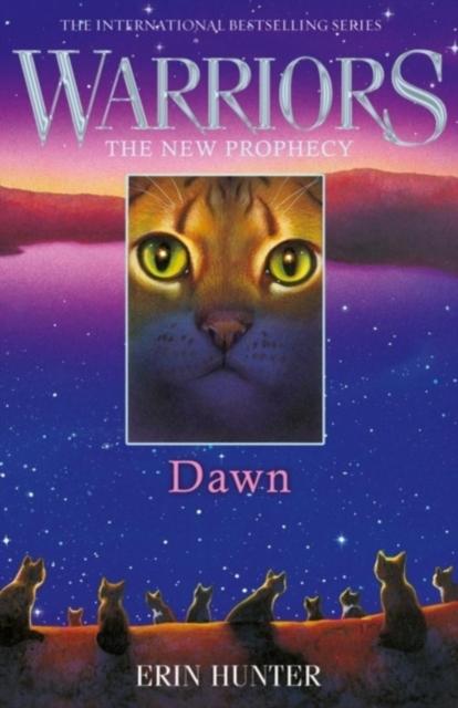 Warrior Cats by Erin Hunter: Series: DAWN
