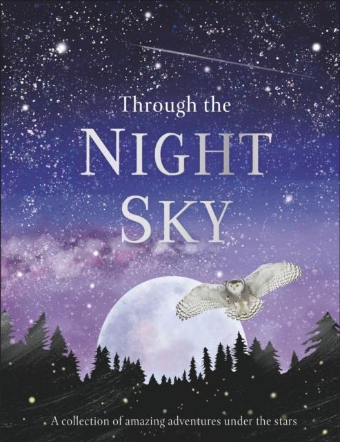 Through the Night Sky : A collection of amazing adventures under the stars